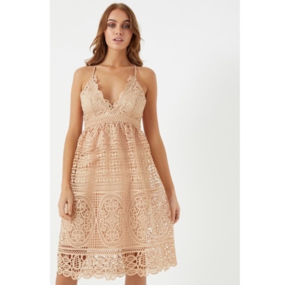 NWT BARDOT LACE MIDI DRESS SIZE 6/S